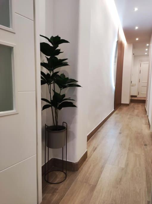 Apartamento Sierra-Sol 론다 외부 사진